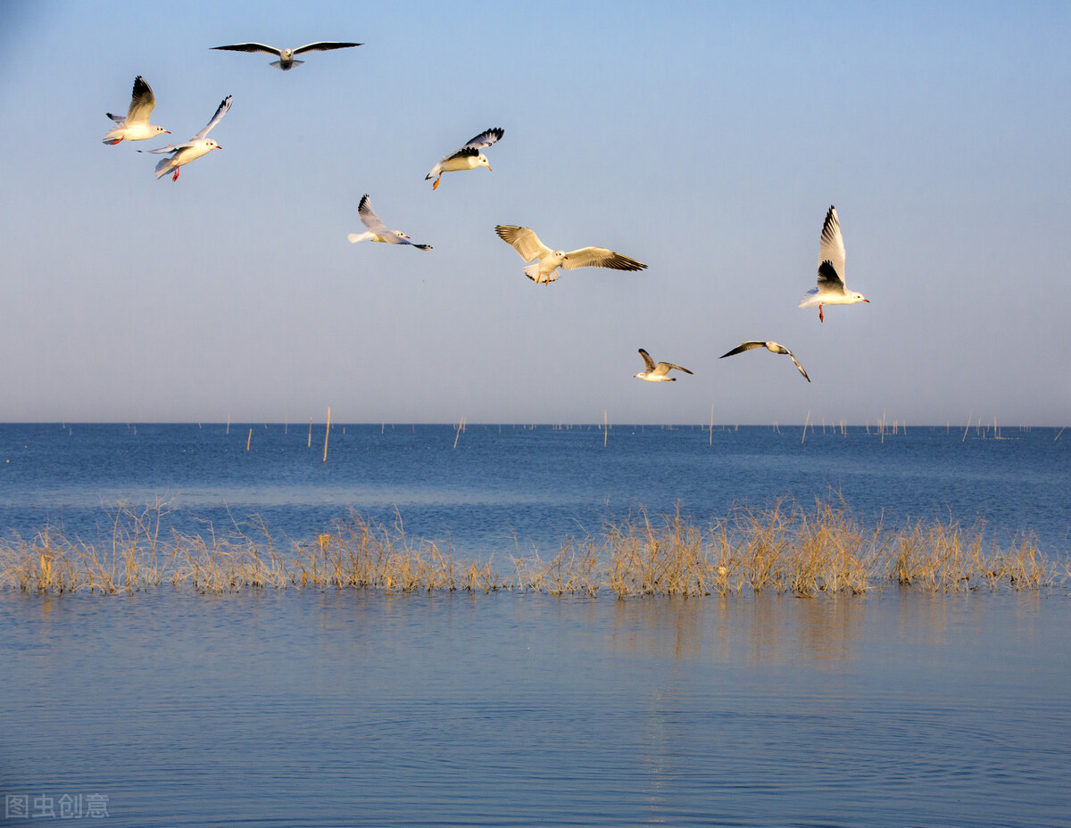 神秘消失的古国完整版,神秘消失的古国全集