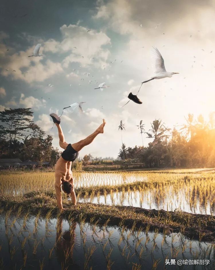 当瑜伽遇上摄影,男摄影师和瑜伽