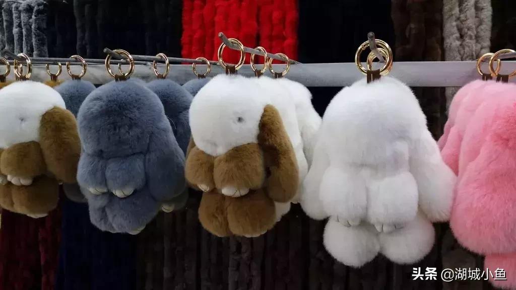 我叫枣强!这是我的最新简历