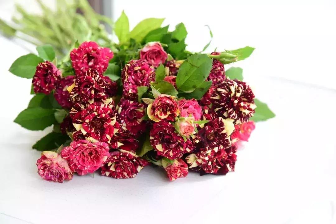 那些年你爱过的小说女配,那些年你爱过的老歌