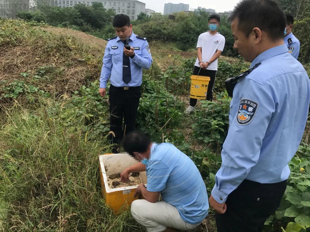 捉癞蛤蟆会犯法吗,听信偏方后果难以想象