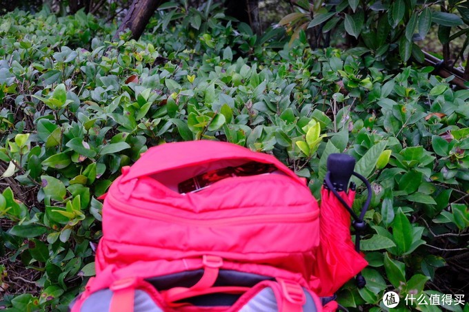 瑞典拓乐thuleranger280l,瑞典拓乐thulevector470l