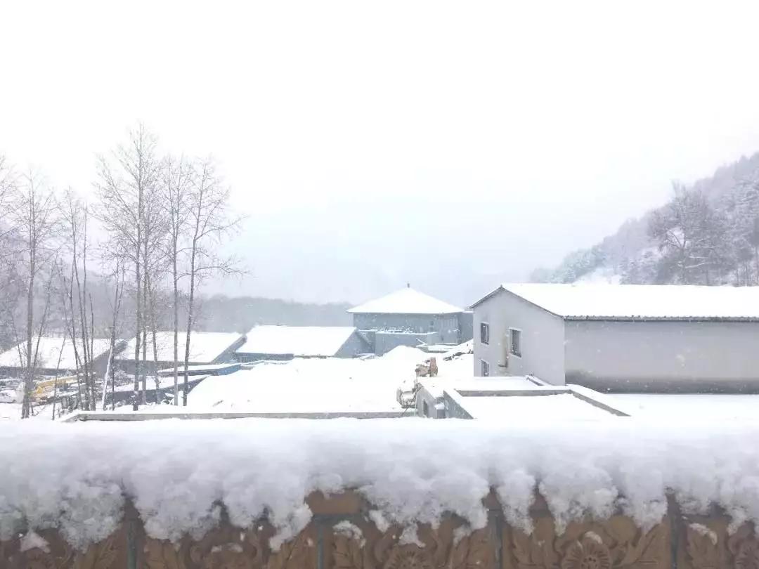 杨五郎为何到五台山龙泉寺出家,五台山的杨五郎正史是否真实