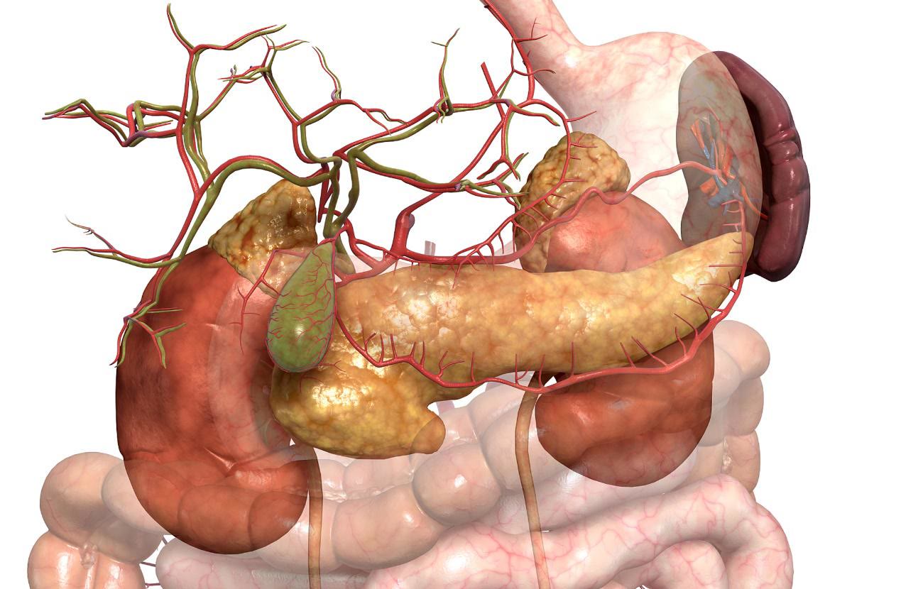 维生素乱吃会导致肠道问题吗,维生素补充过量的危害