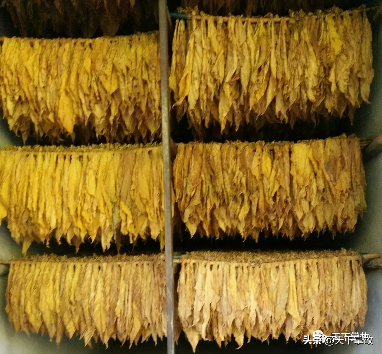 璧ゅ嘲璁板繂鍥剧墖,璧ゅ嘲璁板繂鐩綍