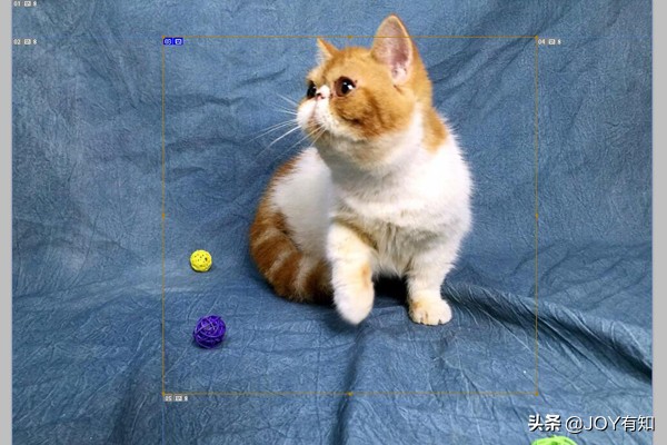 ps如何用切片工具切片,ps切片怎么移动位置