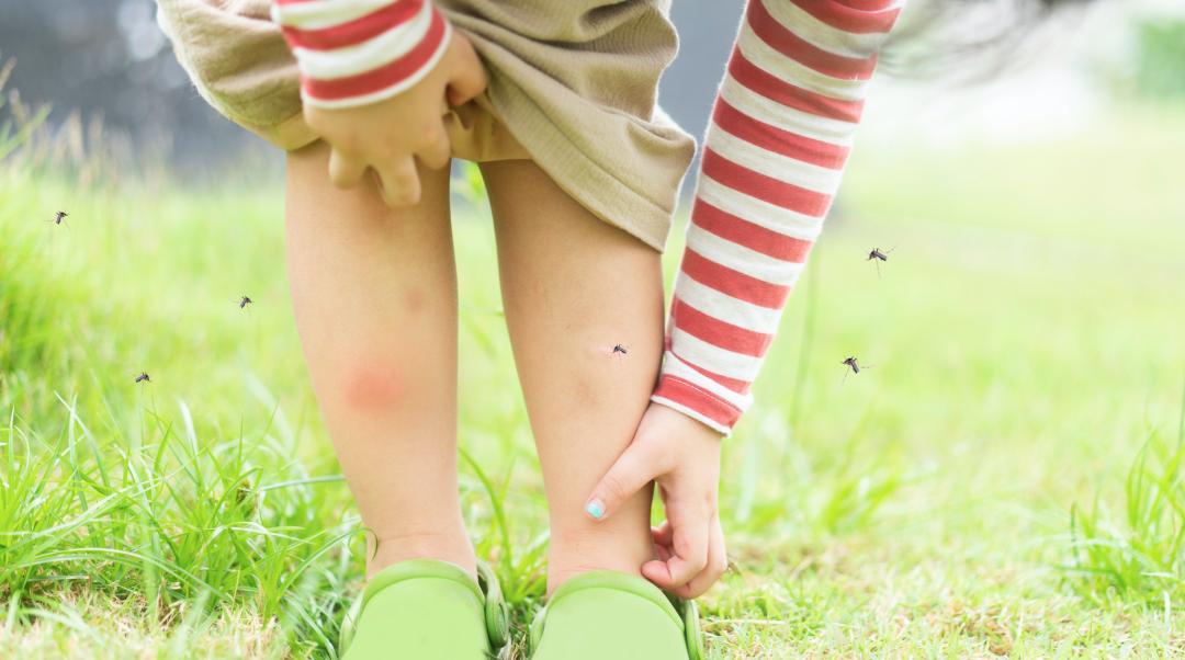 夏天来了用蚊香液更放心,夏天开空调可以用电蚊香液吗
