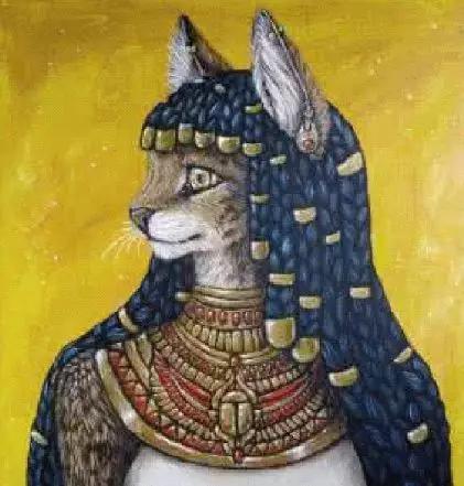 养猫进化史,撸猫的乐趣只有养猫的才懂