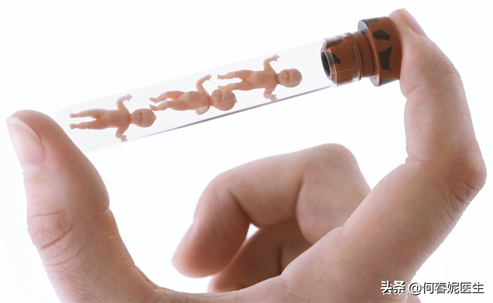 备孕怎么长出又大又圆的卵泡,还在羡慕别人怎么办