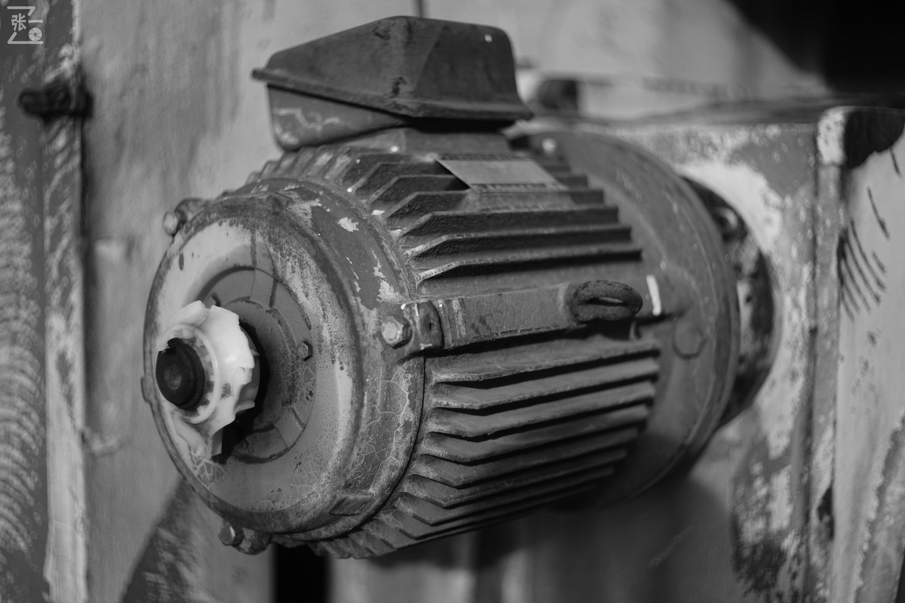 日本进口雅西卡胶卷相机,雅西卡135相机