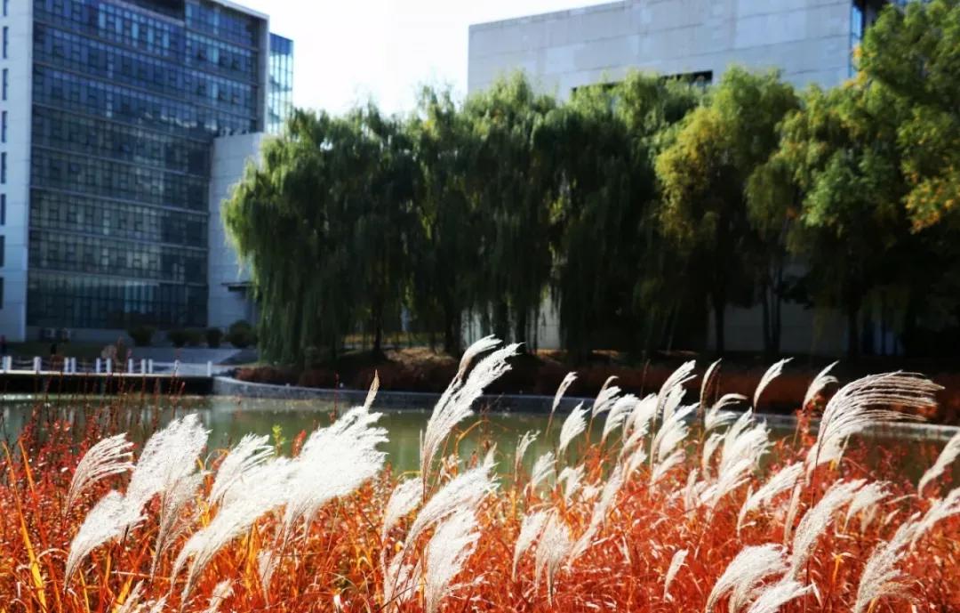 沈阳医学院在辽宁排名,沈阳医学院全面介绍