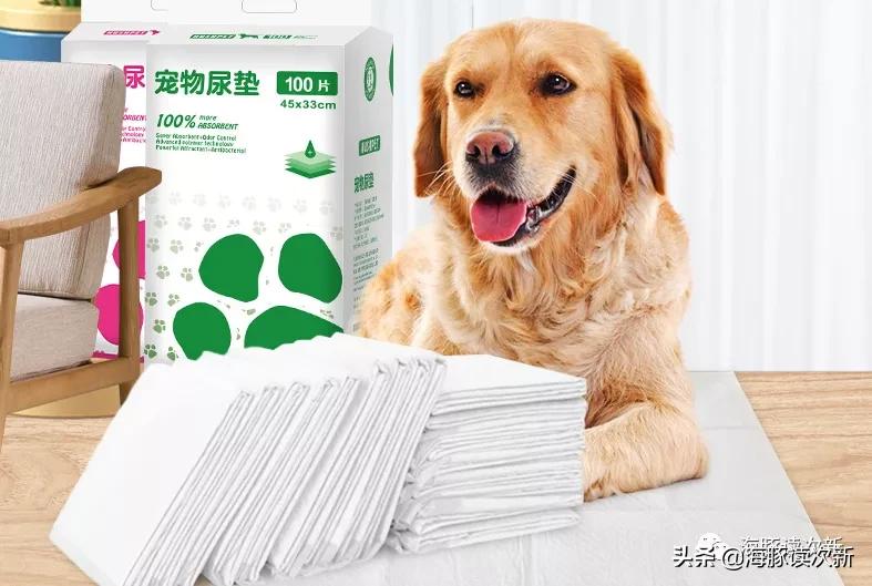 铲屎官专用铲屎神器,铲屎官必备神器再不怕宠物掉毛了