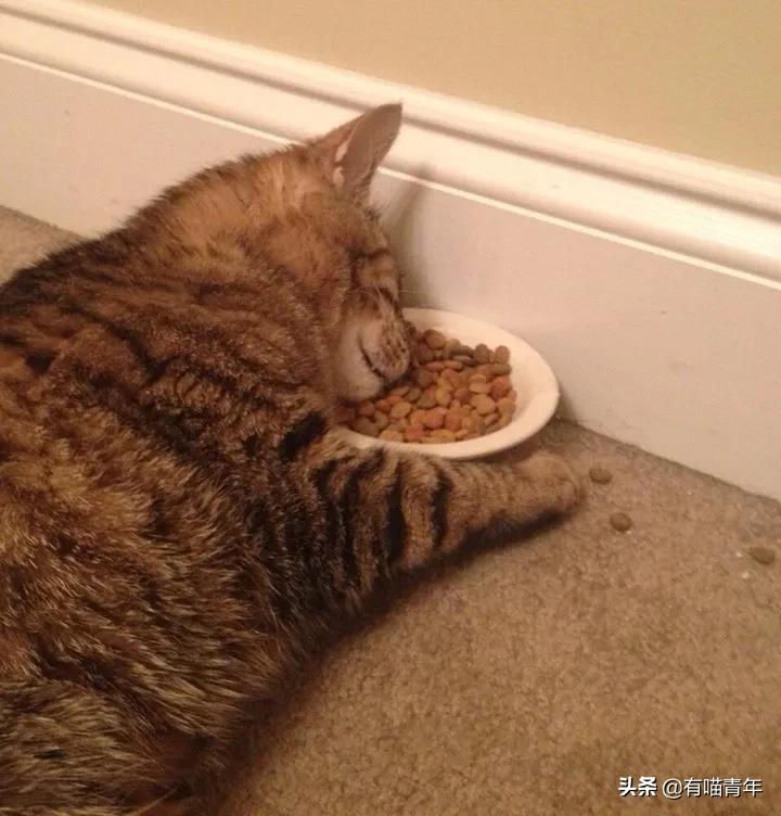 24岁男子喜当爹去派出所,90后男子相亲被误当爹