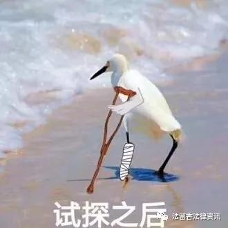 职业打假6人被批捕原因,职业打假人被抓会判刑吗