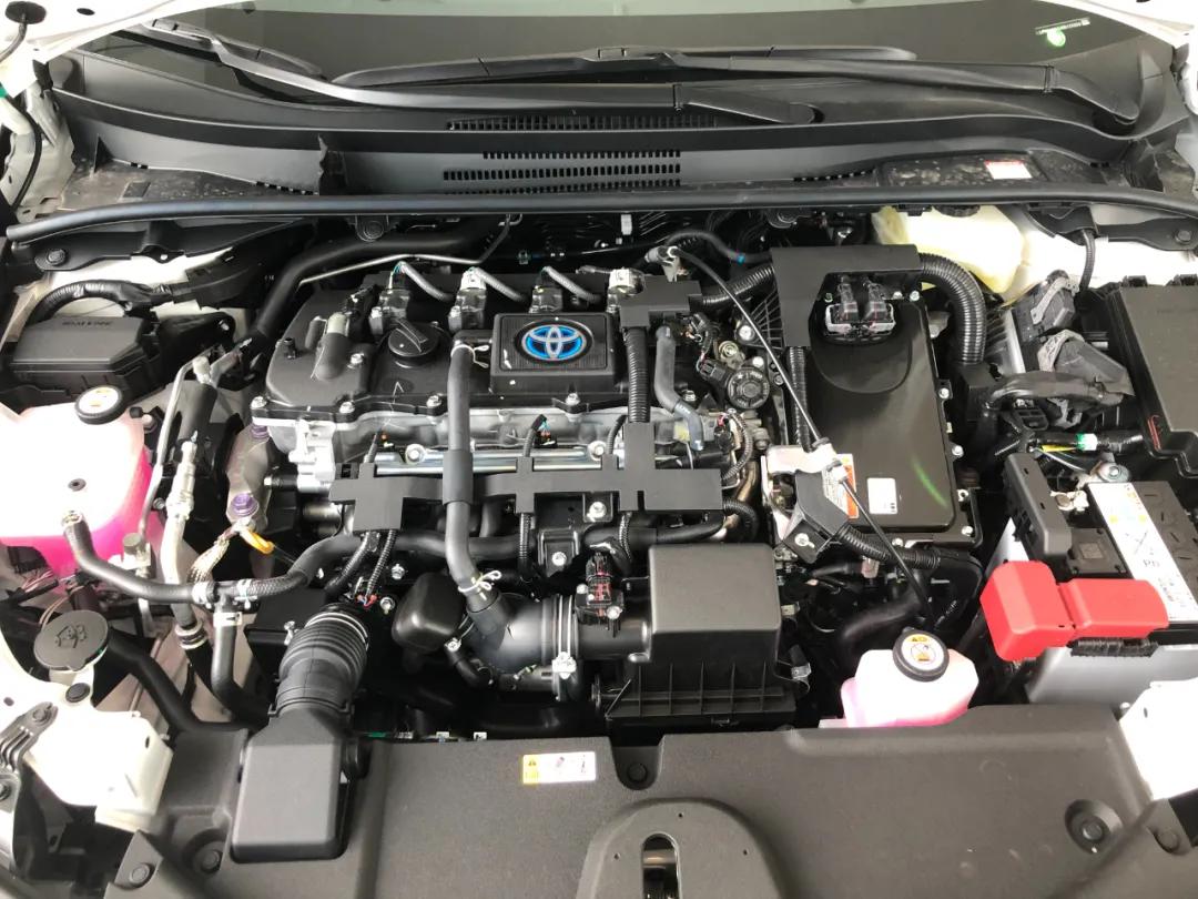 探店丨除了省油、保值，丰田卡罗拉凭什么月销3万台？