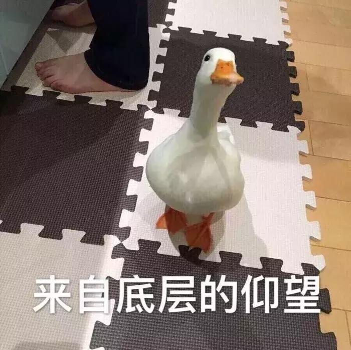 男朋友必备撒娇小技巧,男朋友应该要怎么哄女朋友