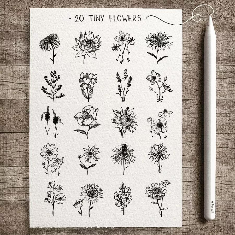 一看就懂的针管简笔画,针管笔入门手绘1000例临摹图