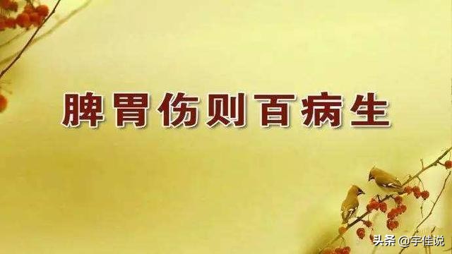 湿热的根源——脾胃虚弱