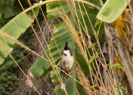 深圳首条手作“原始登山道”，人少好爬景色超美…过年去哪不用愁
