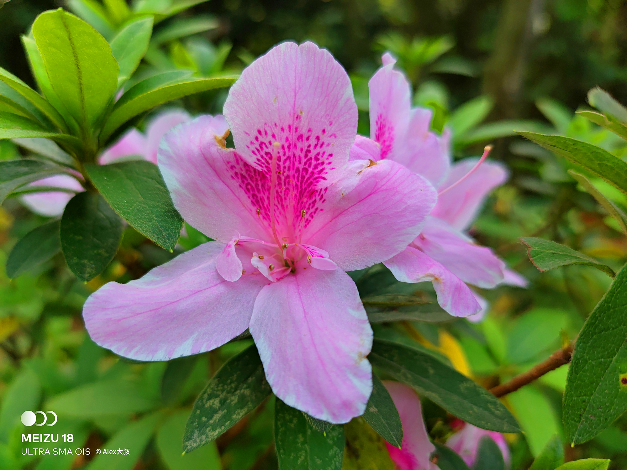 魅族18小屏手机,魅族18小屏版怎么样