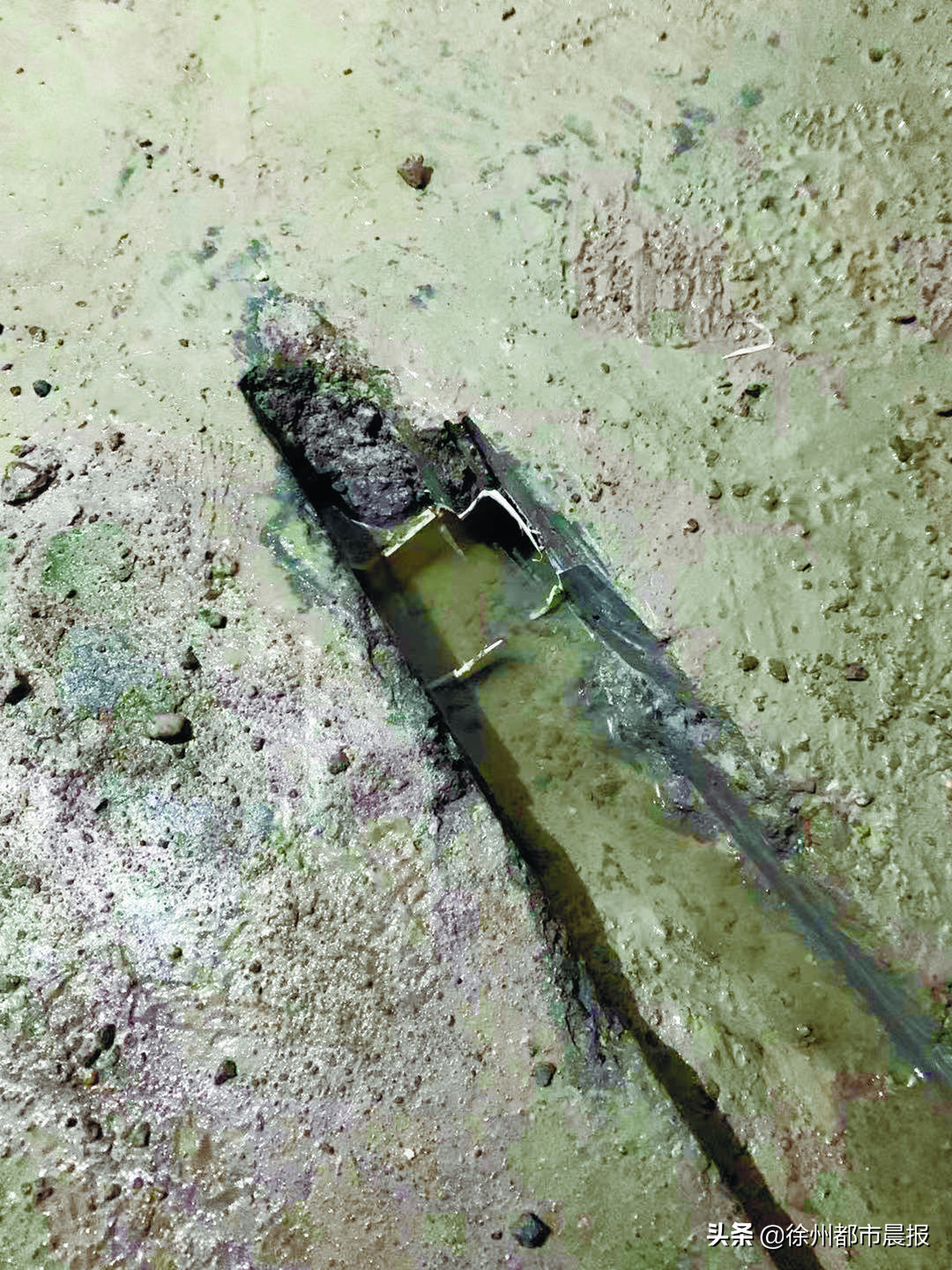 “地下室就像化粪池”！徐州这个小区3天换了3任物业经理，依旧搞不定