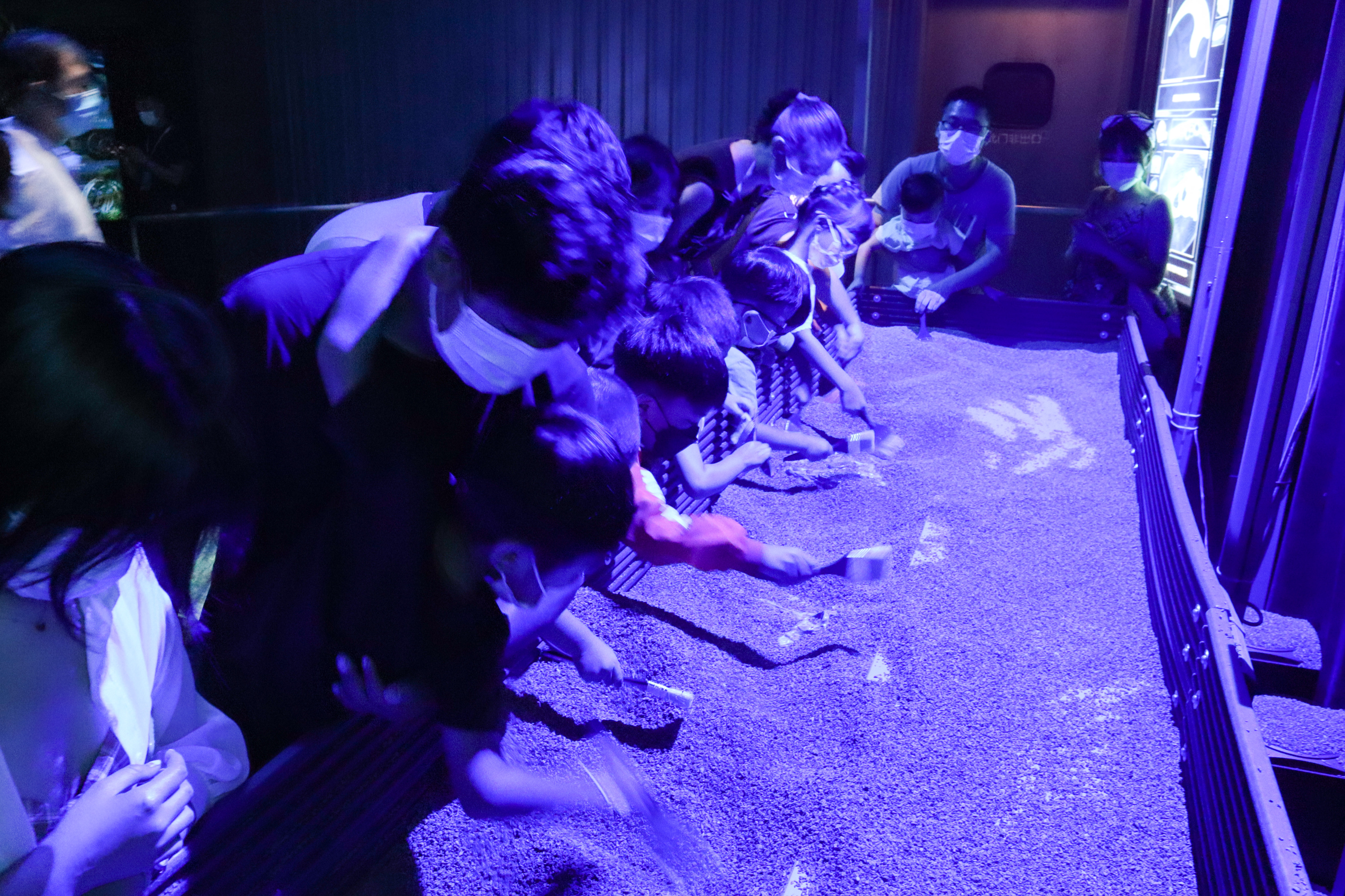 来到侏罗纪公园遇到超真实的恐龙,侏罗纪公园恐龙大探秘