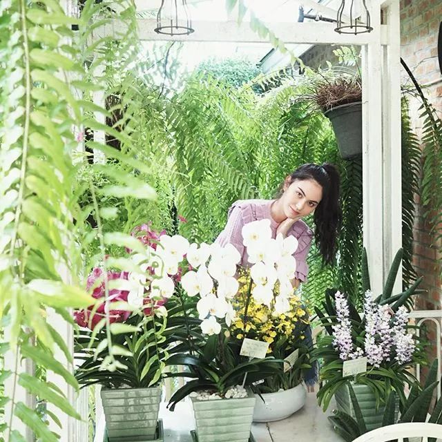 泰国明星女照片,泰国女明星名单大全图片