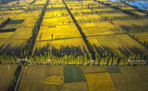 农学专业将来的就业方向,农学类就业很差么