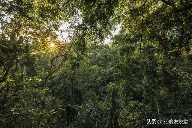 佳能rf15-35mmf2.8,佳能rf15-35f2.8镜头尺寸