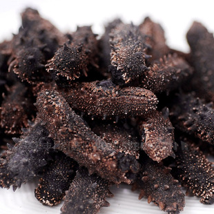 大连海参最正宗的产地是哪里,黄玉海参产地是哪里最好