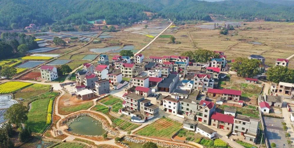 【谁不说咱家乡美】美丽中国，“乡”约万安（河西片）