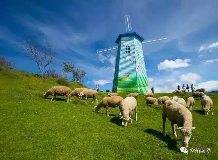 台湾清静农场在哪里,台湾桃园观光农场在哪里