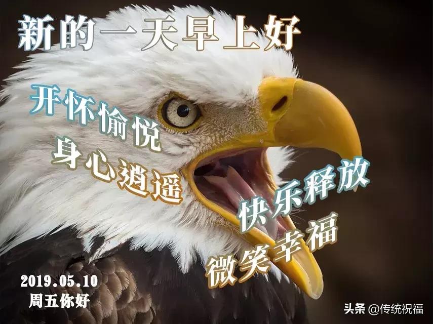 亲爱的朋友快乐一生,亲爱的朋友每天开心快乐