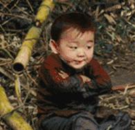 宝，我今天去油了，去的什么油？爱老虎油