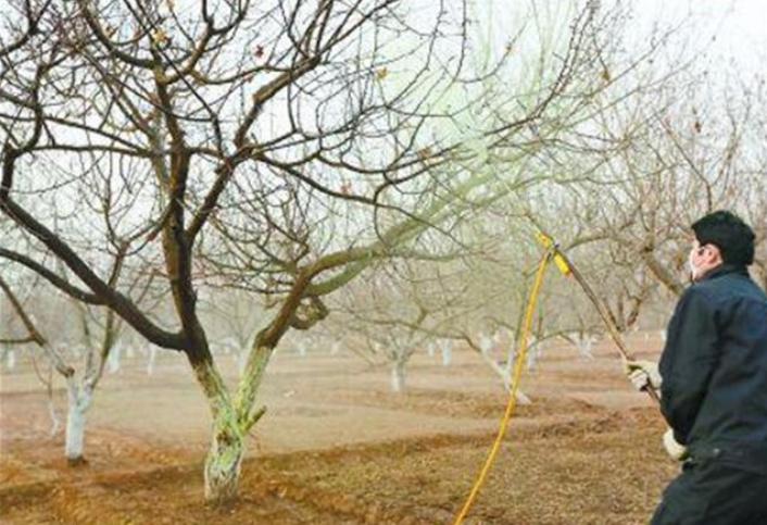 给果农介绍一种有机杀菌剂的使用方法以及对果树病害防治的作用