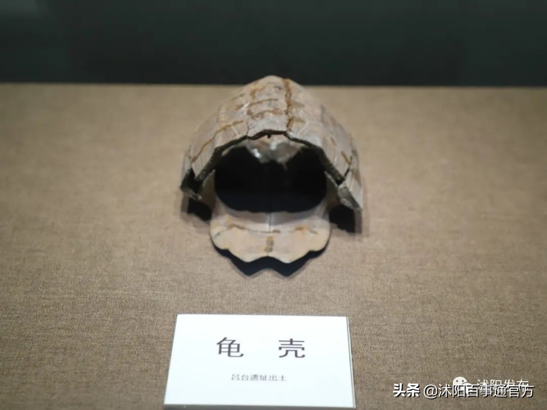 沭阳博物馆,沭阳博物馆在哪里开放