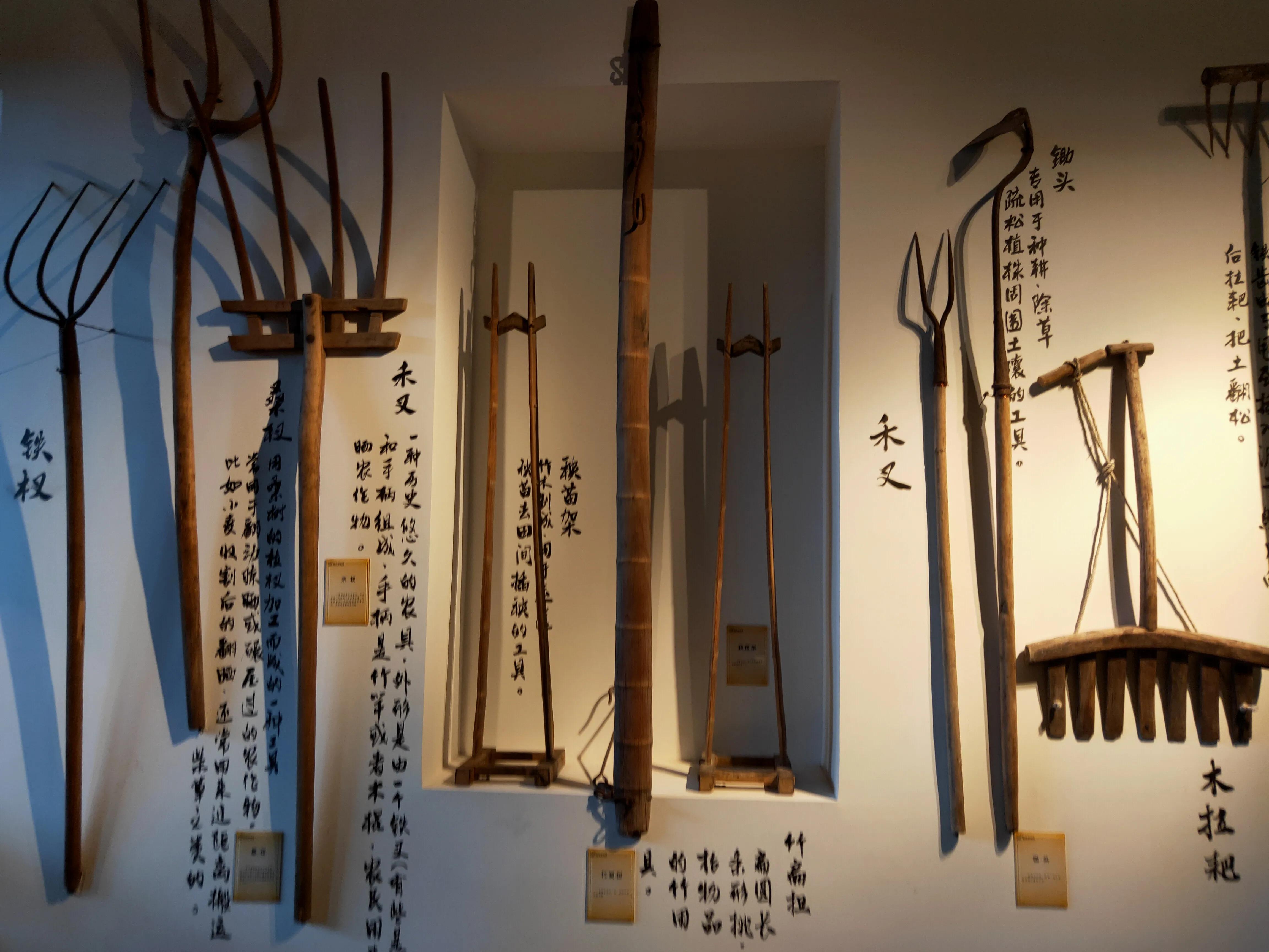 佛山联和吴汉小学寒假,佛山市南海区联和吴汉小学