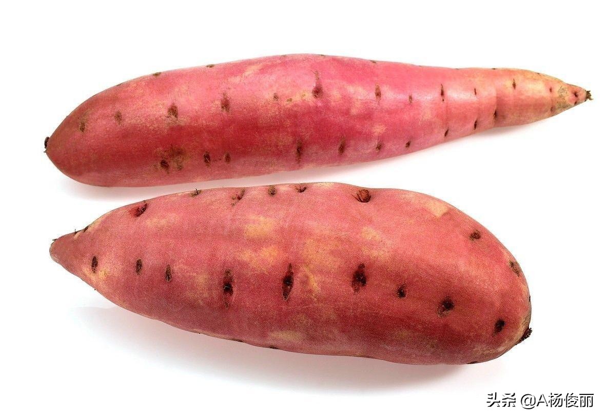 自己酿地瓜酒教程,地瓜酒的酿制方法