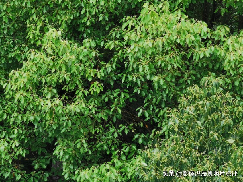 黑色背景怎么拍出质感产品,摄影黑色背景怎么拍得更黑