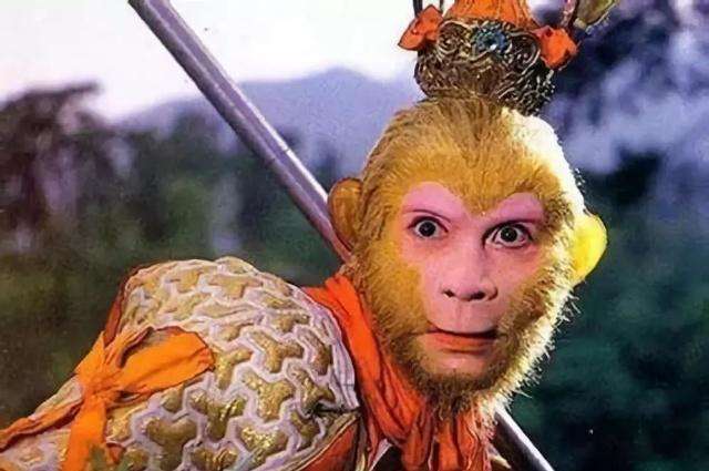 数理文化数字,数理文化的运用