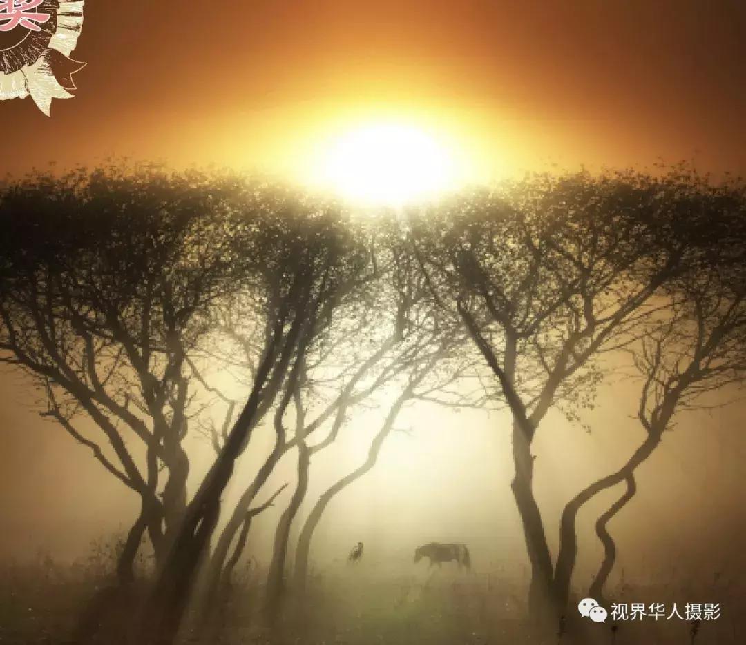 大美中国主题摄影作品征集启事,第五届华人摄影展入选名单