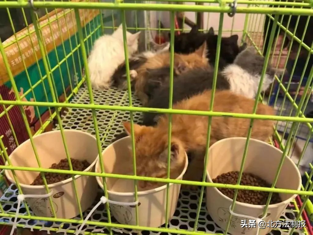 寄仿真枪？寄老虎？违法！快递不能任性寄...