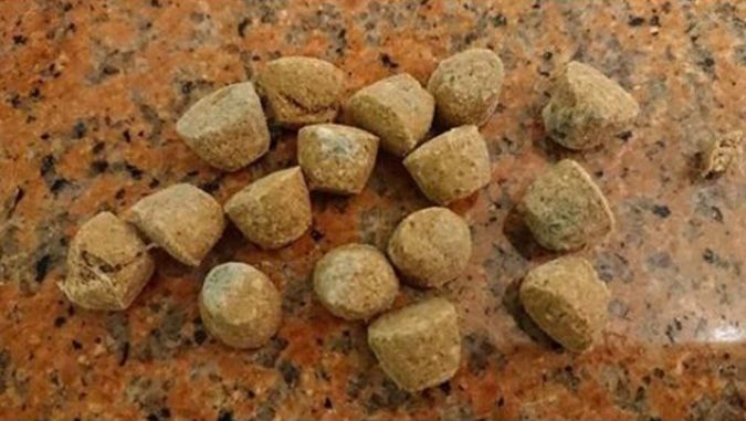 泰迪吃了发霉的狗粮不适怎么办,泰迪吃什么会导致肾衰竭