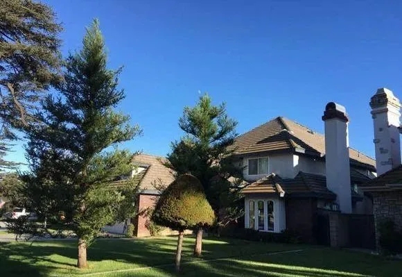 美国中餐馆打hei工的生活，每月收入2万.为好生活远走他乡。