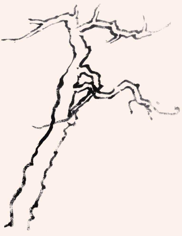 国画画树时的使转用笔方法,国画教程画树入门