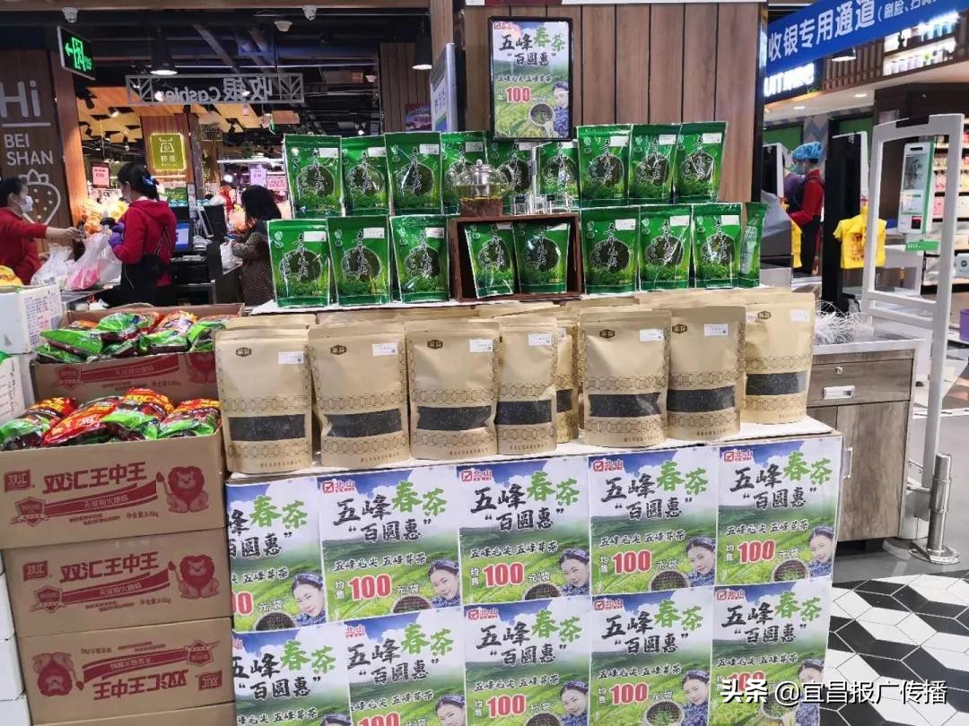 助茶农渡难关,宜昌春茶“百圆惠”上市