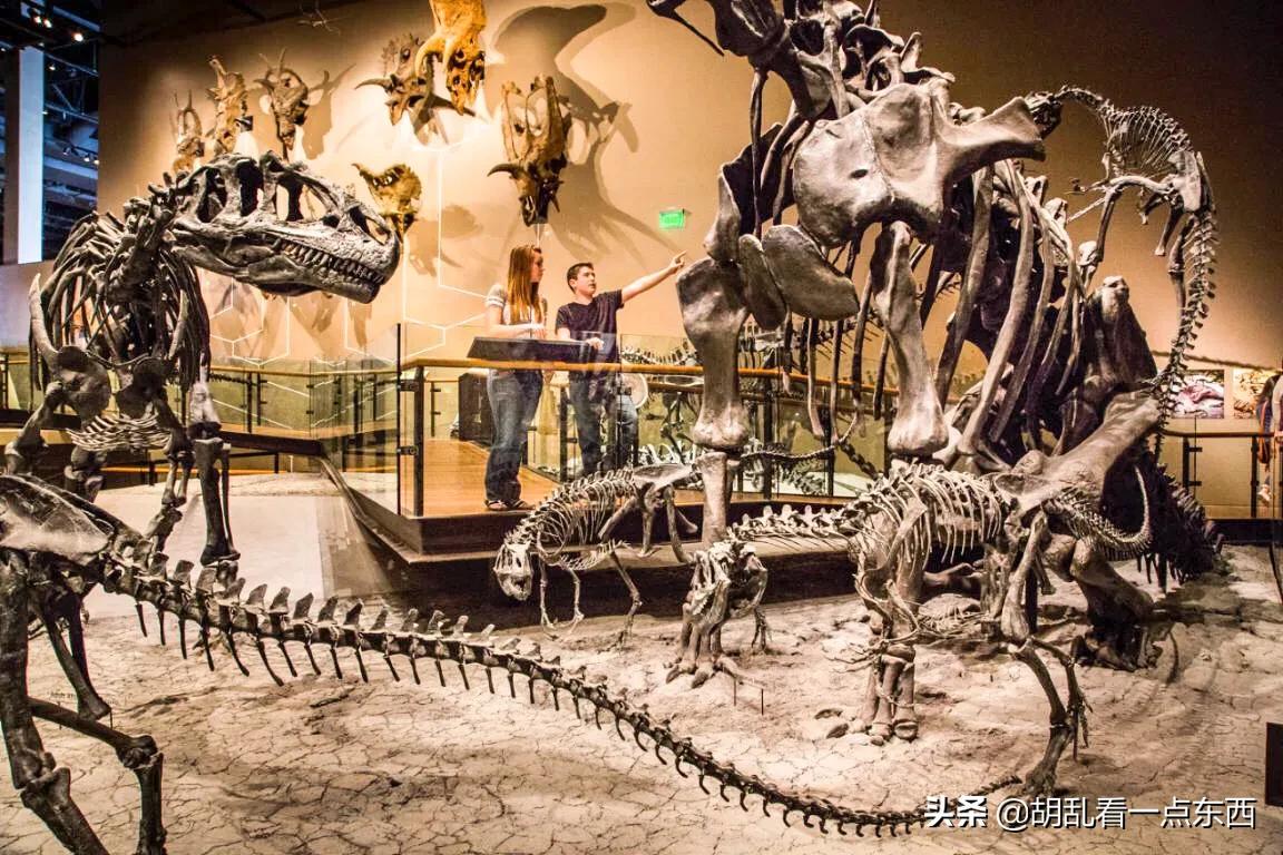 探访恐龙遗迹追寻恐龙,美国一公园发现恐龙世界恐龙足迹