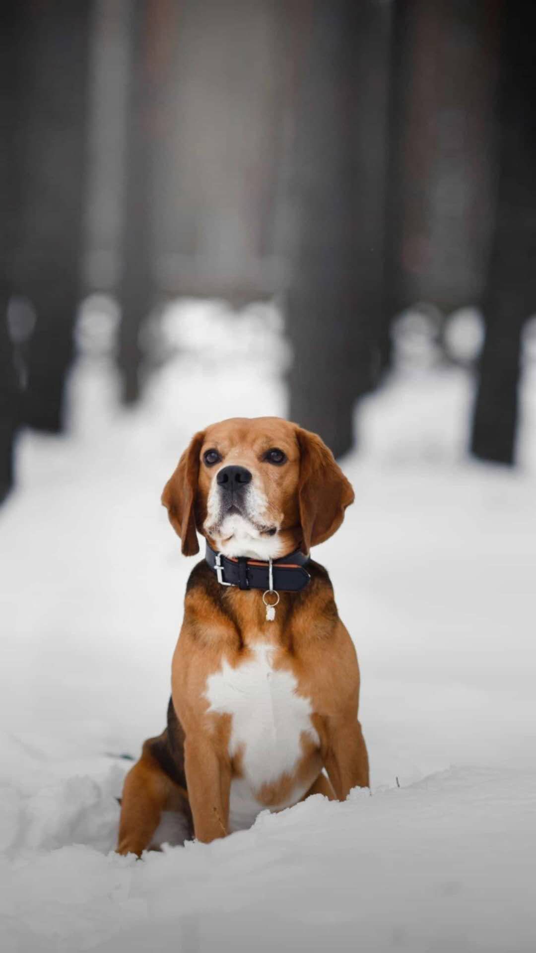 欢喜散文,散文喜雨