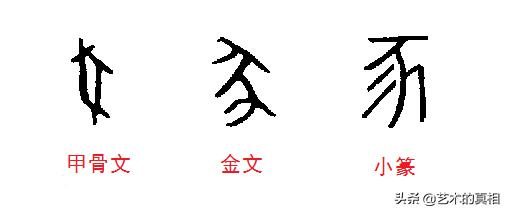 古人造字如画画，“龙、虎、猪、狗、牛、羊”六个属相汉字的由来