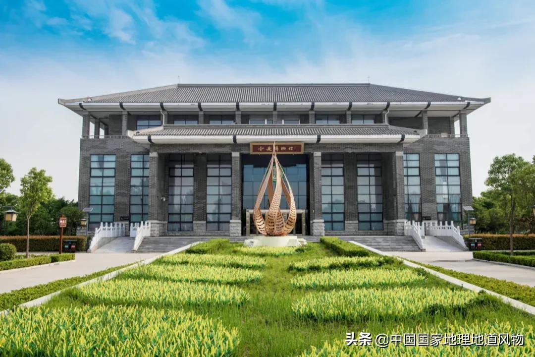 想不到！一粒小麦竟这样改变了中国